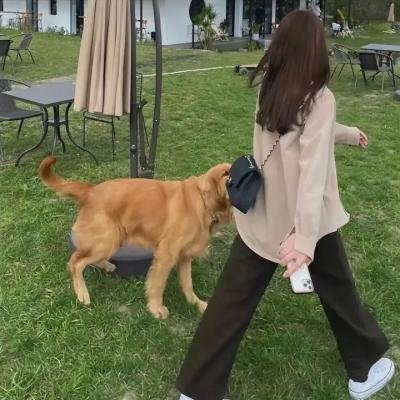 胖女孩